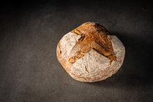 Lade das Bild in den Galerie-Viewer, Schloßherren
